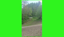 IMG-20220502-WA0006.jpg