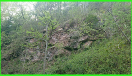 IMG-20220502-WA0010.jpg