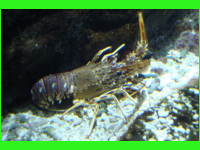 DSC04348.jpg